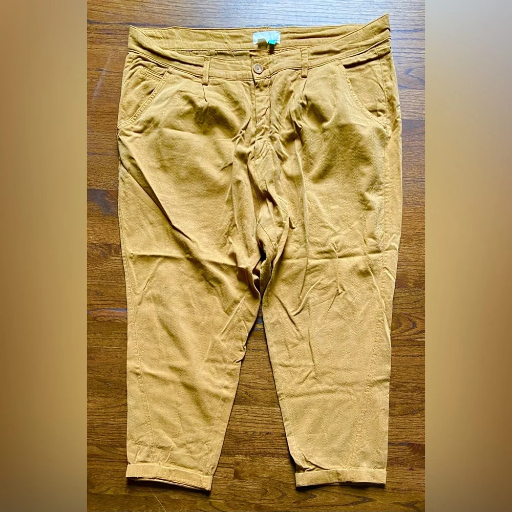 NWOT Anthropologie plus pants - Picture 1 of 11